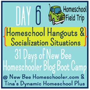 Homeschool Hangouts & Socialization Situations