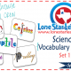 rp_Lone-Star-Learning-Collage-02212013.png
