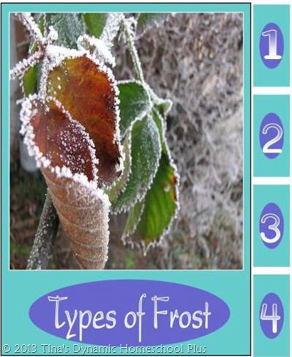 Types of Frost Minibook @ Tina's Dynamic Homeschool Plus