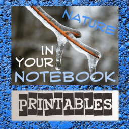 blue-nature-notebook-graphic