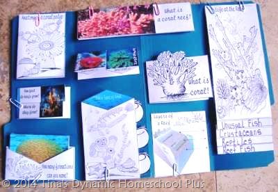 Coral reef Lapbook @ Tina's Dynamic Homeschool Plus