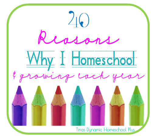 Reasons Why I Homeschool