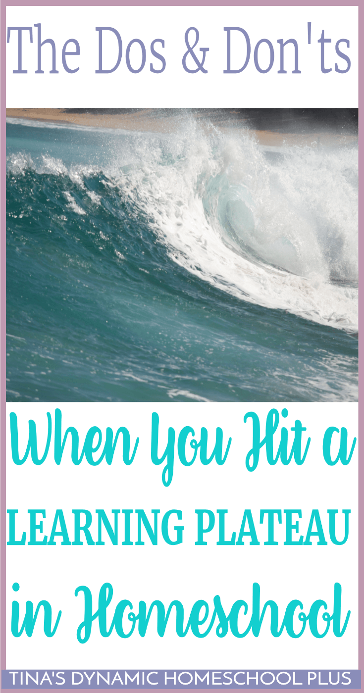 Are You Making these Mistakes When You Hit a Homeschool Learning Plateau? The stages of learning can be like the ocean. It can be churning and grinding and you can ride high on the swells and then it can dip down low and almost be motionless. Click here to grab some tried and true tips!