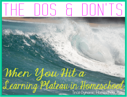 The Dos and Don'ts When You Hit a Homeschool Learning Plateau