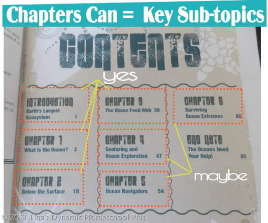 how to use a chapter book to prep unit study
