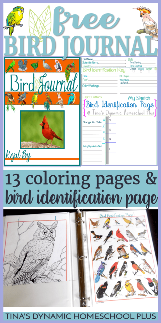 Free Bird Journal - Hands-on Nature (Coloring &amp; Identification Pages)