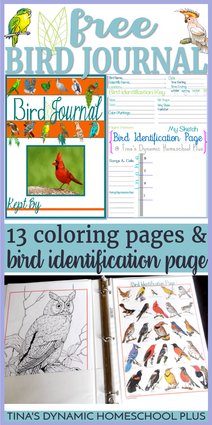Grab this free and fun Bird Journal which includes high quality coloring pages and bird identification page which allows plenty of room for sketching and noting birding details. CLICK HERE to grab it!