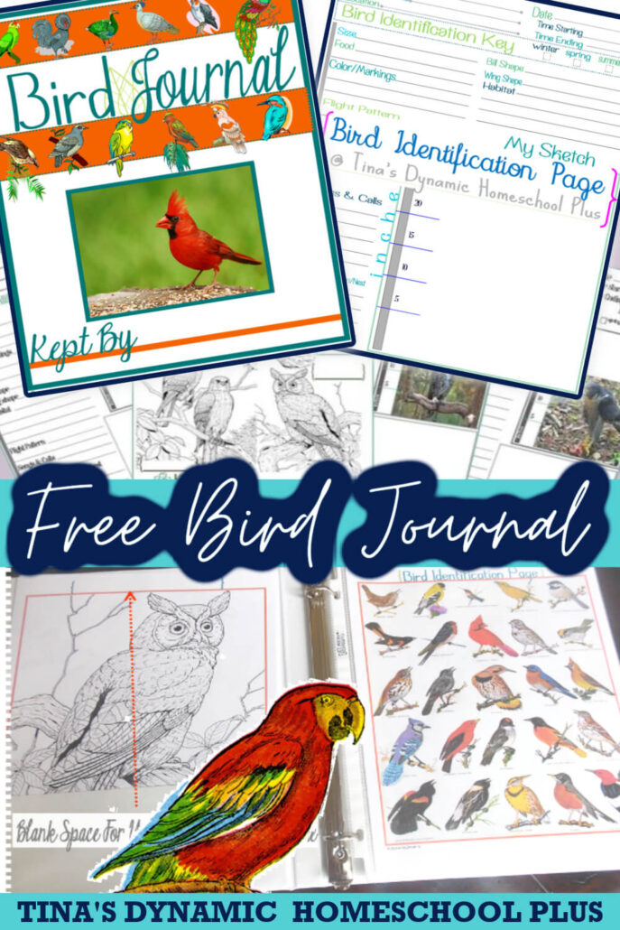 Free Bird Journal - Hands-on Nature (Coloring & Identification Pages)