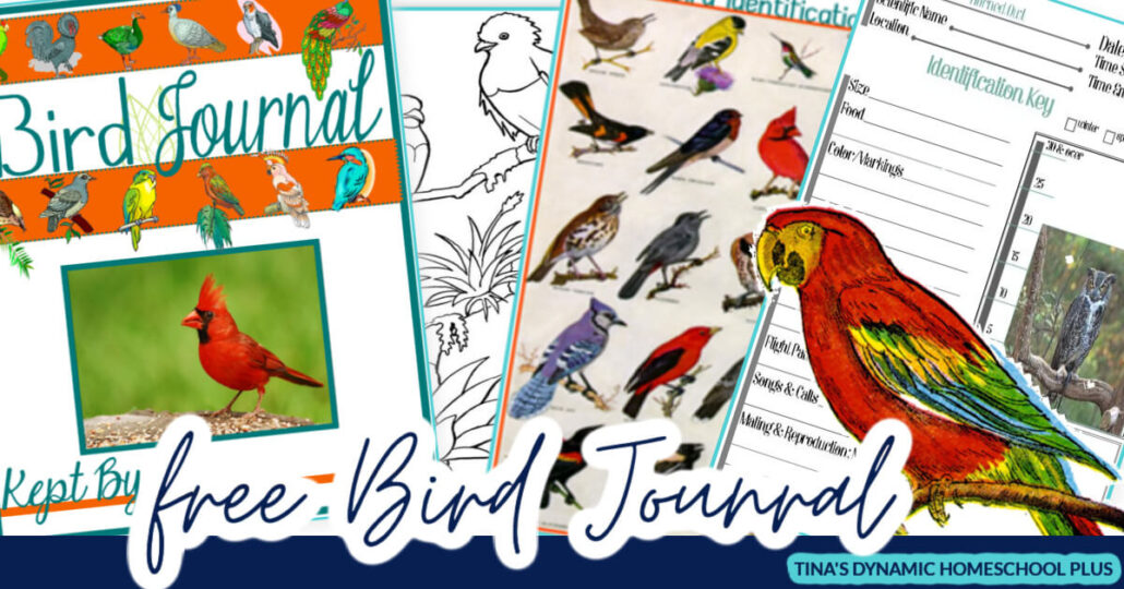 Free Bird Journal - Hands-on Nature (Coloring & Identification Pages)