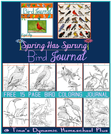 bird journal coloring pages collage