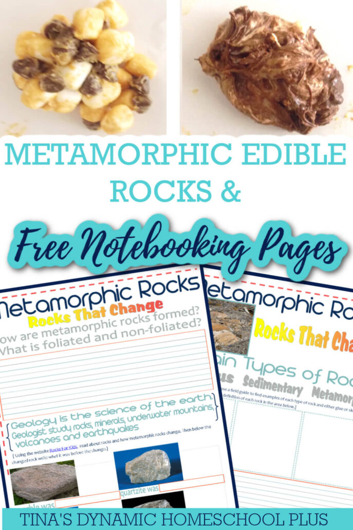 Fun Metamorphic Edible Rocks & Notebooking Pages