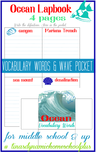 Ocean Vocabulary Words Collage