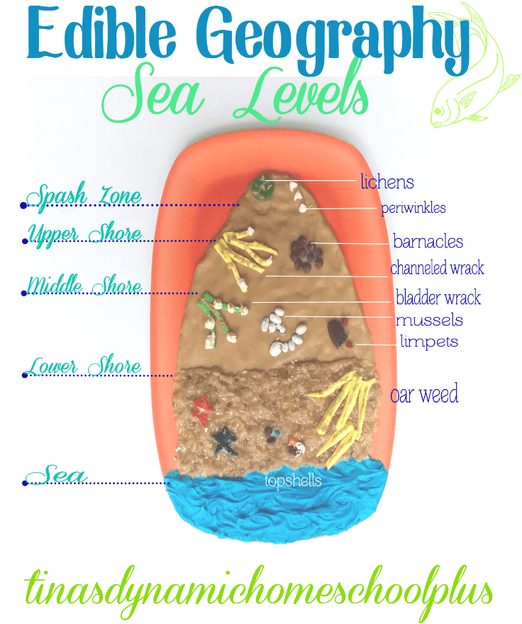 Edible Geography Sea Levels