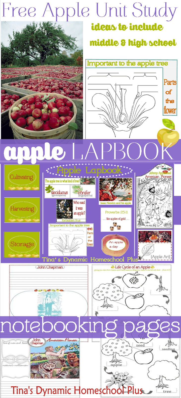 Fall Unit Study (Includes Apples, Sir Isaac Newton, Art, and Appleseed)