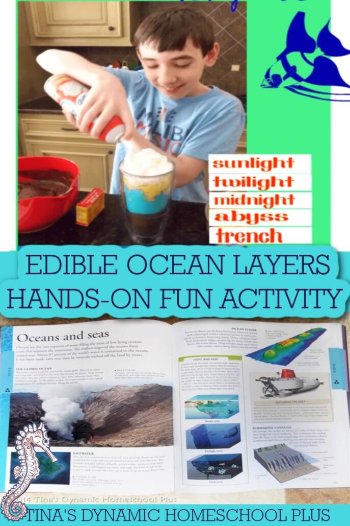 Ocean Unit Study Ocean Layers Hands-on Fun Activity