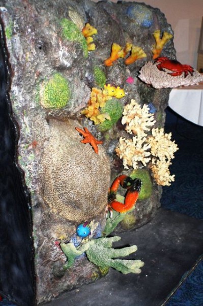 Coral Reef Unit Study, Lapbook and Hands-on Ideas