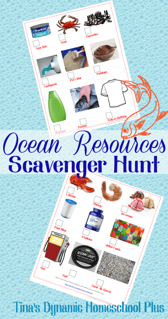 Ocean Lapbook Printables and Lapbook for a Homeschool Unit Study