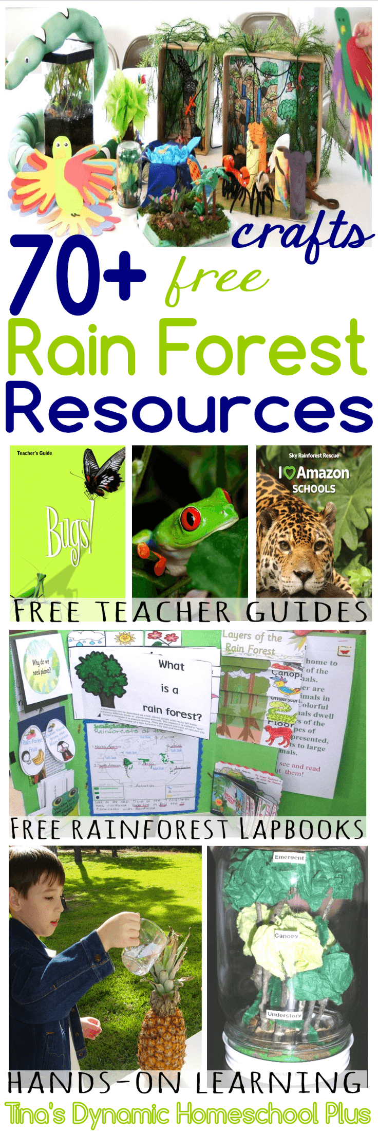Over 70 Free Amazon Rain Forest Resources! Great for a homeschool unit study or just learning about the Amazon Rain Forest. Click here to grab these AWESOME resources!
