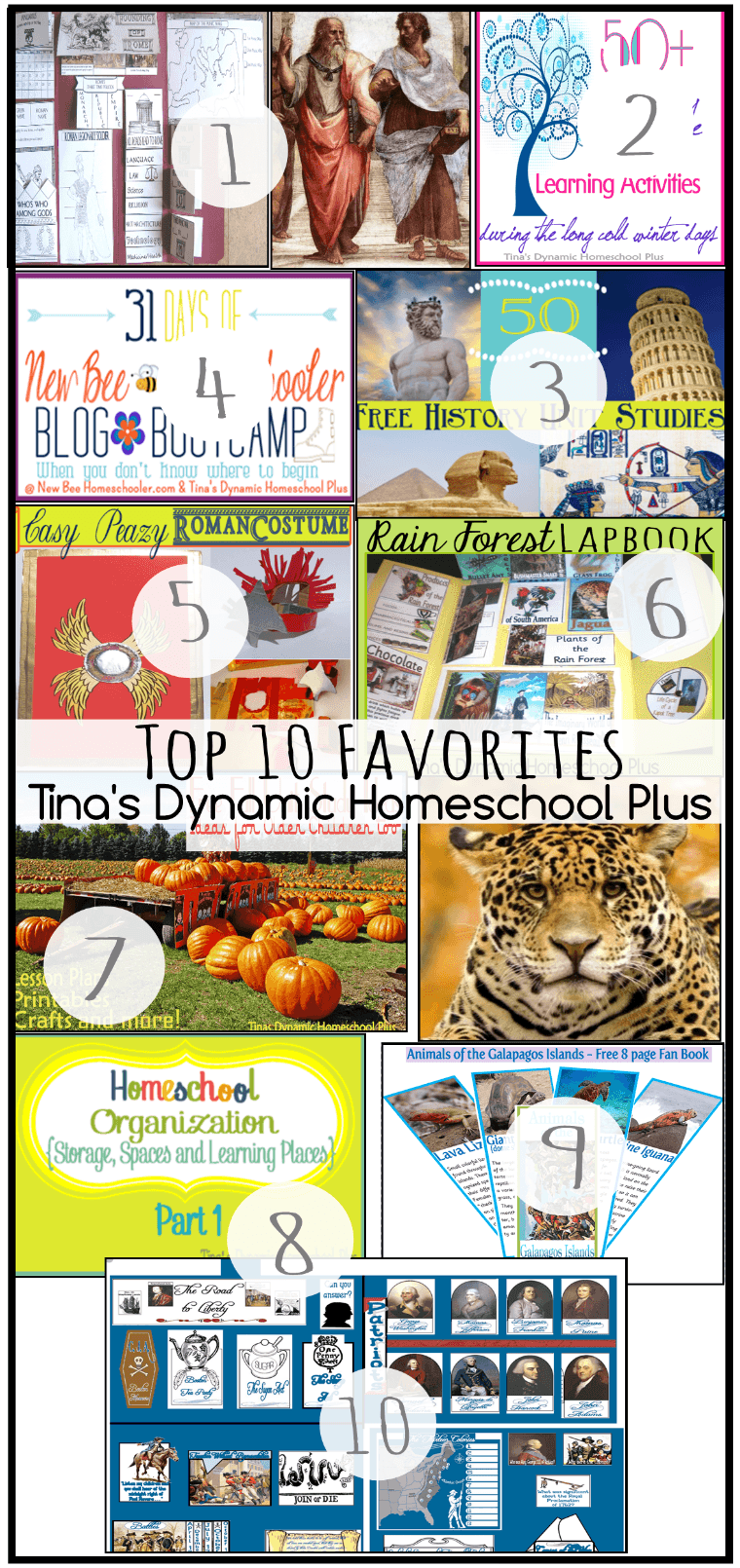 Top 10 Favorites Tina's Dynamic Homeschool Plus