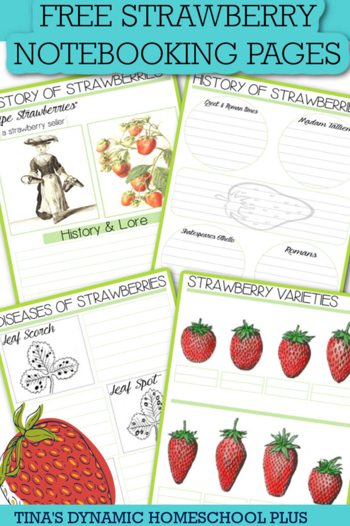 Free Printable Strawberry Notebooking Pages