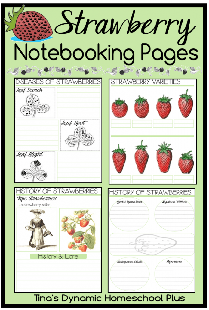 Free Printable Strawberries Lapbook and Fun Homeschool Unit Study Ideas