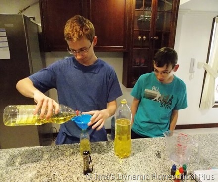 How To Make A DIY Lava Lamp Lesson Plan