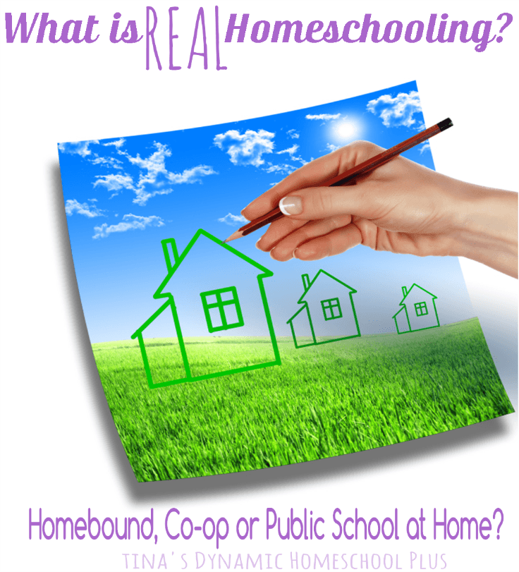 What is REAL Homeschooling @ Tina's Dynamic Homeschooling Plus