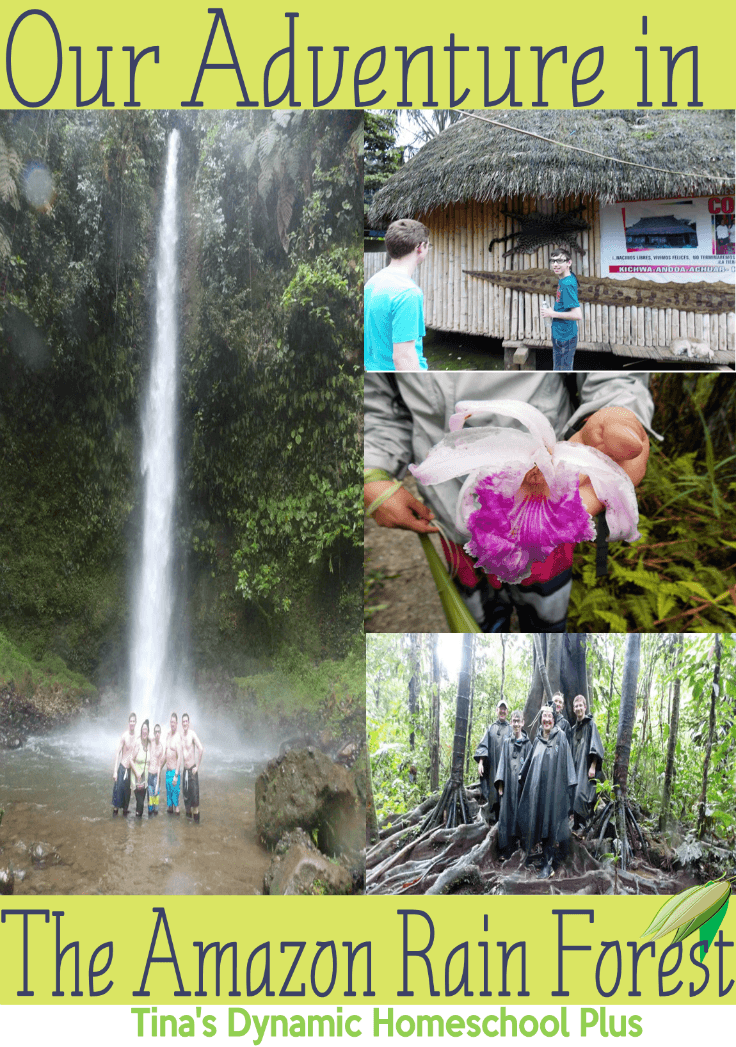 Our Adventure in The Amazon Rain Forest @ Tina's Dynamic Homeschool Plus