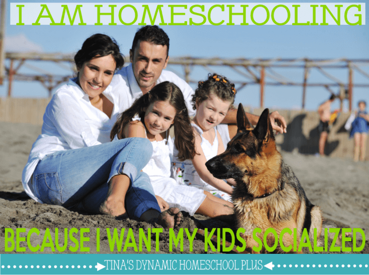 I am Homeschooling Because I Want My Kids Socialized @ Tina's Dynamic Homeschool Plus