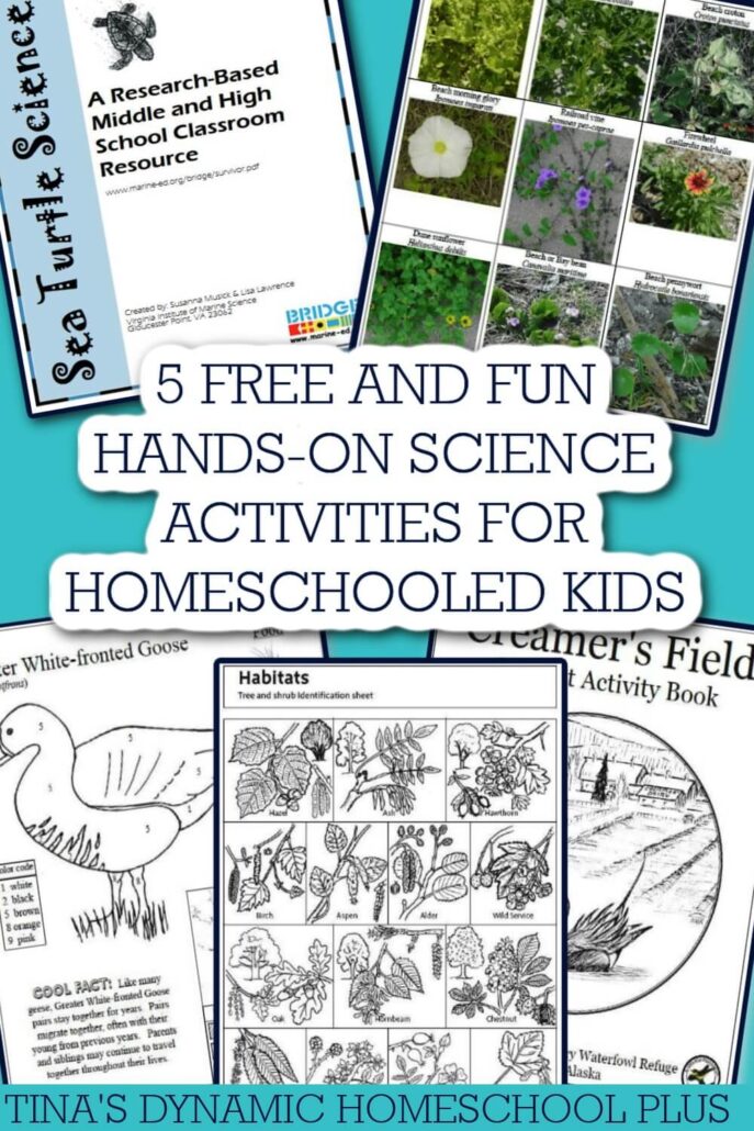 5 FREE and FUN Hands-on Science Activities for Homeschooled Kids