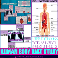 Body Part Labeling and Human Skeleton Quiz Free Minibooks - Free Human Body Unit Study @ Tina's Dynamic Homeschool Plus FEATURED