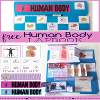 Free Human Body Lapbook and Unit Study @ Tina's Dynamic Homeschool Plus featured