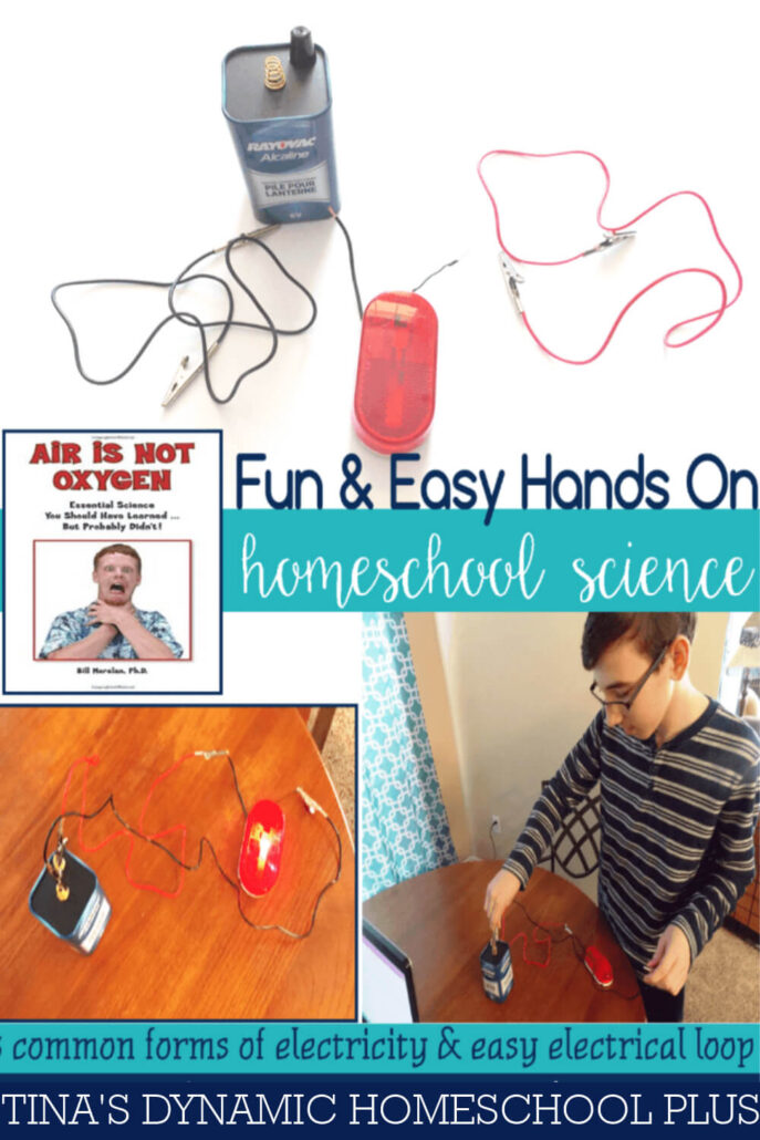 Electricity Hands-On Homeschool Science Activity