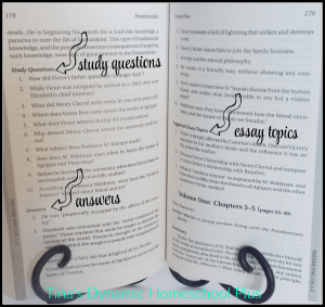 Homeschool High School Literature Guides