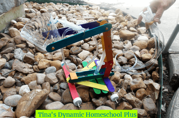Toss or recycle old science projects @ Tina's Dynamic Homeschool Plus