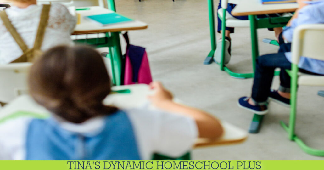 Why My Homeschooled Kids Are Not Given the Choice to Go to Public School