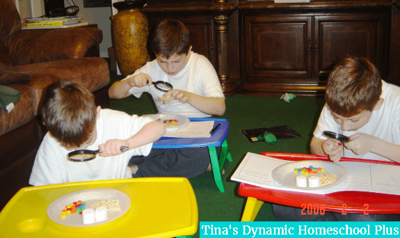 homeschooling in tiny homeschool areas