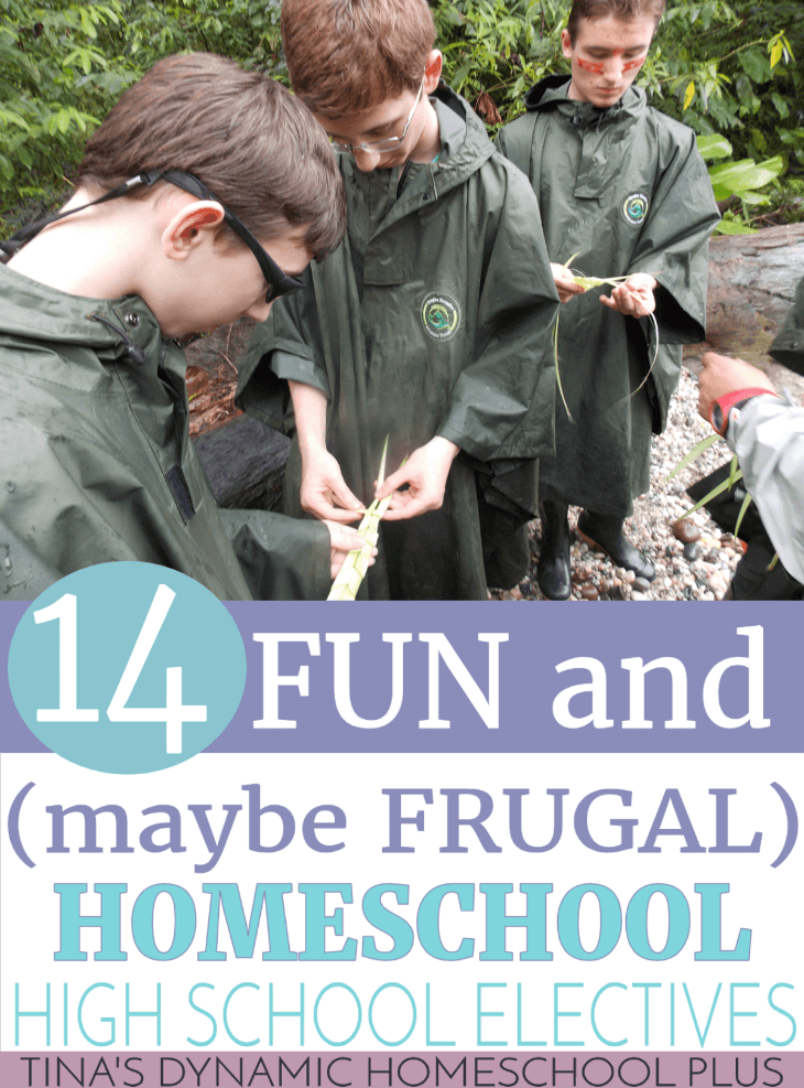14 Fun (and maybe Frugal) Homeschool High School Electives @ Tina's Dynamic Homeschool Plus