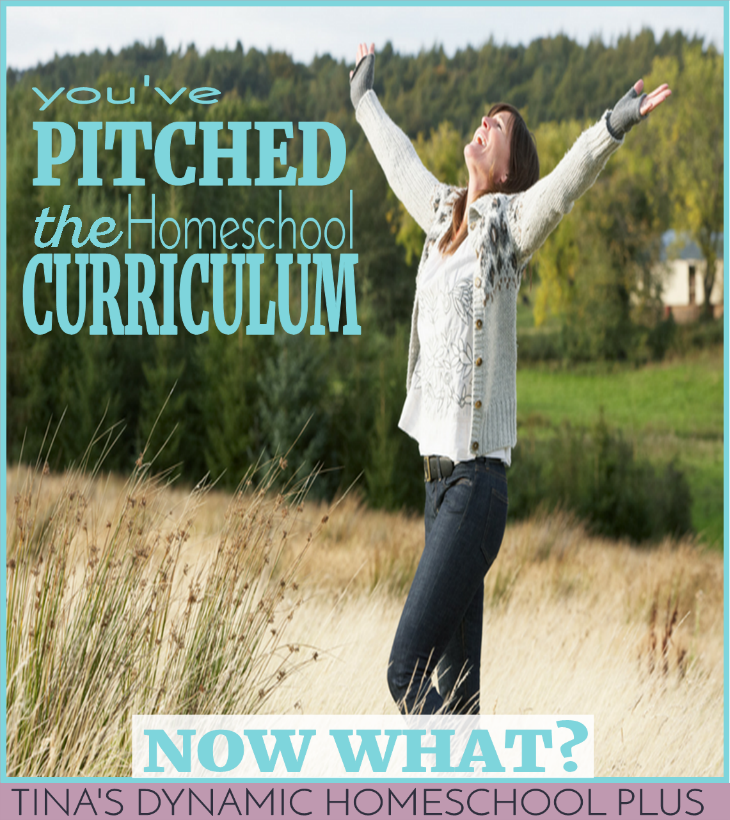 You've Pitched the Homeschool Curriculum - Now What? What if you make the same costly mistakes? Check out these super helpful tips and reminders.