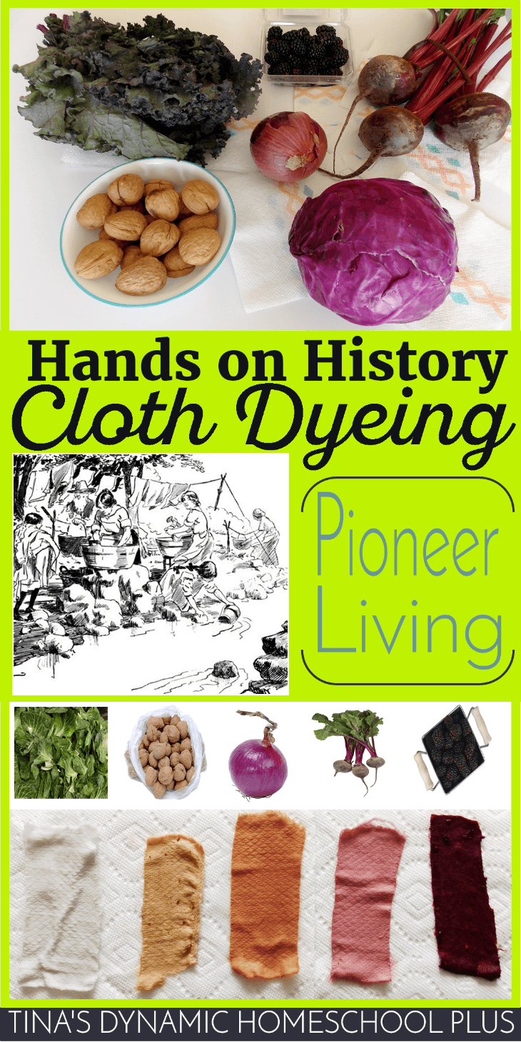 Hands-on History. Cloth dyeing has been used since ancient civilization through to frontier living @ Tina's Dynamic Homeschool Plus