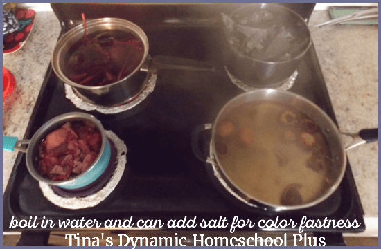 vegetables-fruits-and-nuts-are-used-for-natural-dyes-2-tinas-dynamic-homeschool-plus