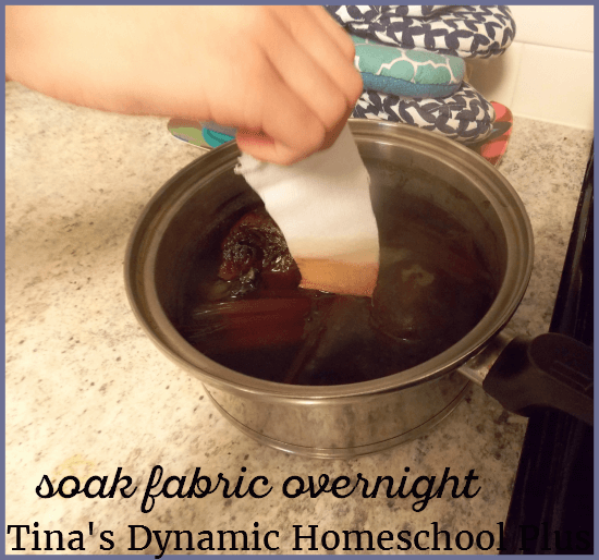 vegetables-fruits-and-nuts-are-used-for-natural-dyes-3-tinas-dynamic-homeschool-plus