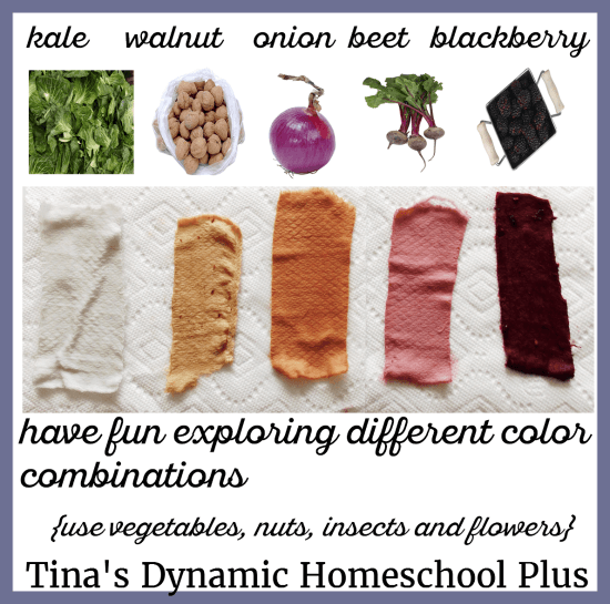 vegetables-fruits-and-nuts-are-used-for-natural-dyes-4-tinas-dynamic-homeschool-plus