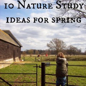 10 Nature Study Ideas