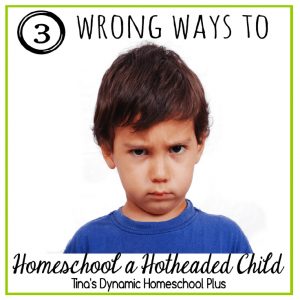 3 Wrong Ways to Homeschool a Hotheaded Child | Tina's Dynamic Homeschool Plus