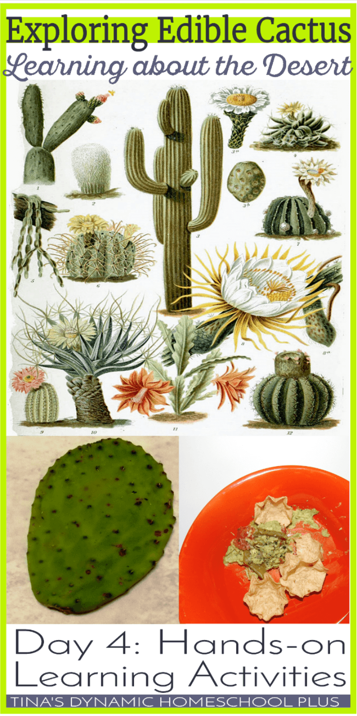 Exploring Edible Cactus. Learning about the desert. @ Tina's Dynamic Homeschool Plus