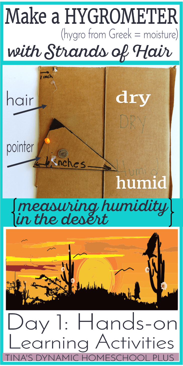 Make a Hygrometer. Day 1 of Hands-on Learning Activities. Learn how humidity in the desert is measured @ Tina's Dynamic Homeschool Plus