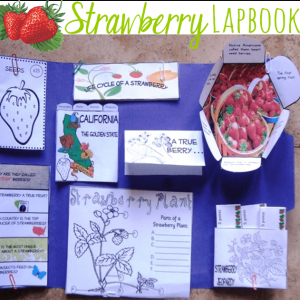 Strawberry Lapbook