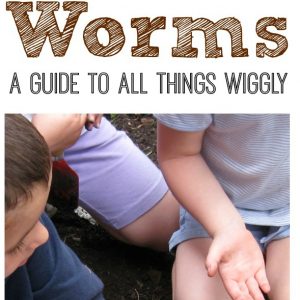 Wiggly Worms