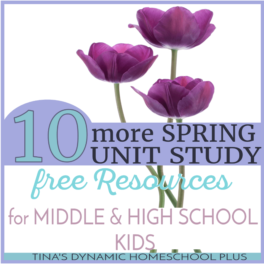 10 More Spring Study Free Resources for Middle and High School Kids. Grab these free awesome downloads and hands-on ideas to keep your older kids learning. I think your younger kid could join in too. Click here to grab the resources! @ Tina's Dynamic Homeschool Plus